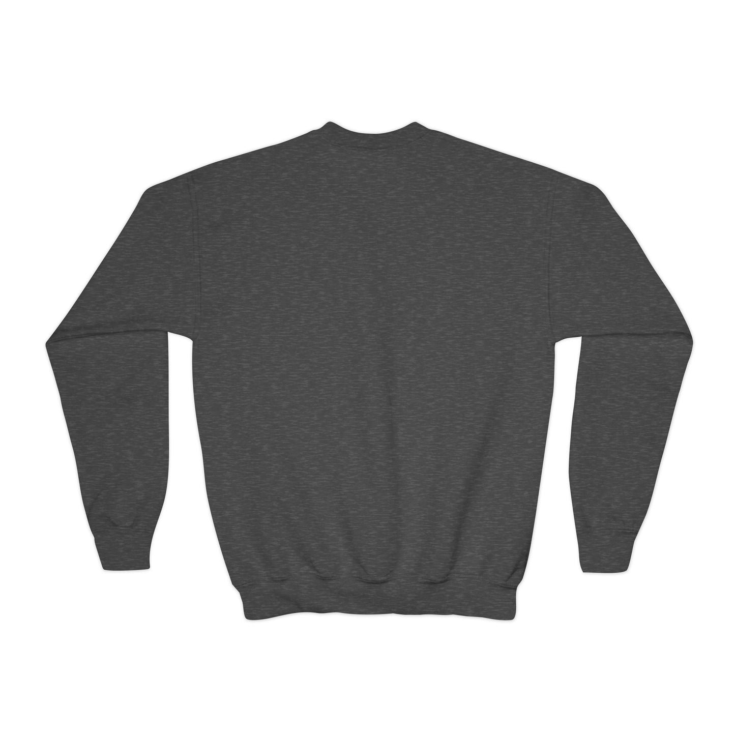 'International School of Brooklyn, New York' Logo — Youth Crewneck Sweatshirt