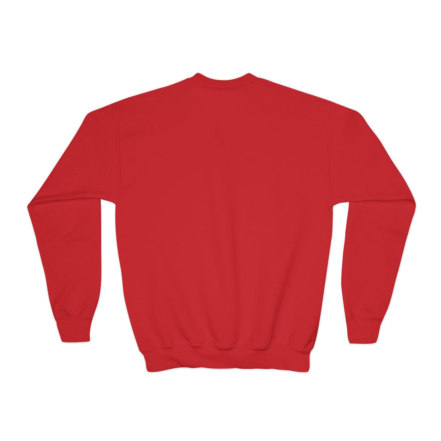 'International School of Brooklyn, New York' Logo — Youth Crewneck Sweatshirt