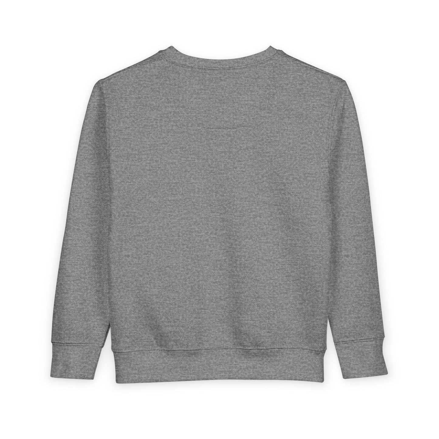 International School of Brooklyn New York Kids Crewneck — Toddler Sweatshirt