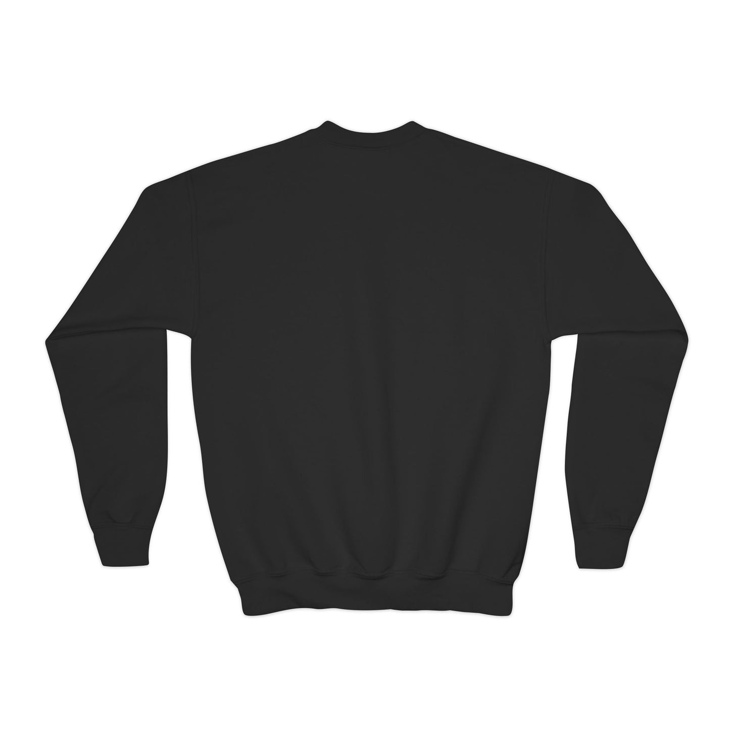 'International School of Brooklyn, New York' Logo — Youth Crewneck Sweatshirt