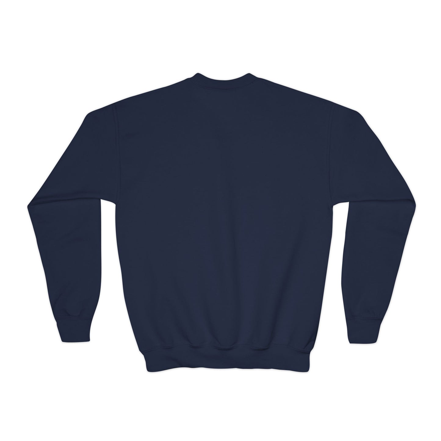 'International School of Brooklyn, New York' Logo — Youth Crewneck Sweatshirt